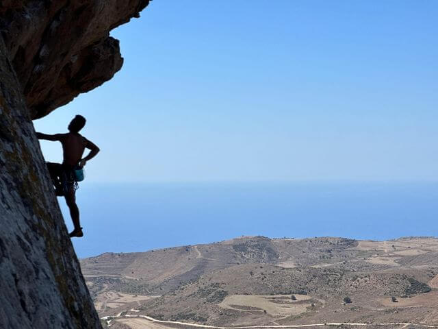 טיפוס משפחתי